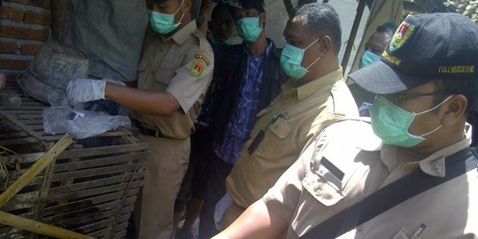 burung pernah bikin gempar rev1