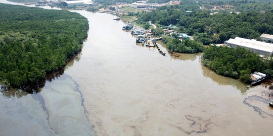 Luasan daerah terpapar minyak mentah Pertamina di Balikpapan capai 12 ribu hektare