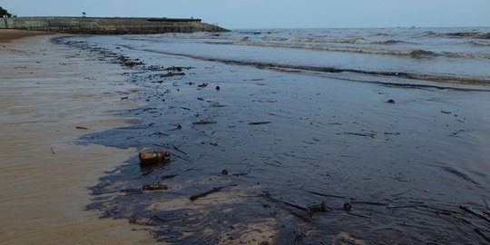 Dinas Lingkungan Hidup Kaltim akan gugat Pertamina soal minyak cemari laut