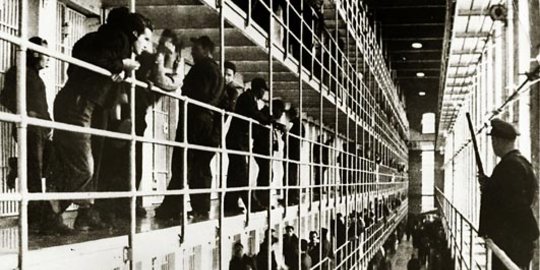 transplantasi testikel di san quentin rev2