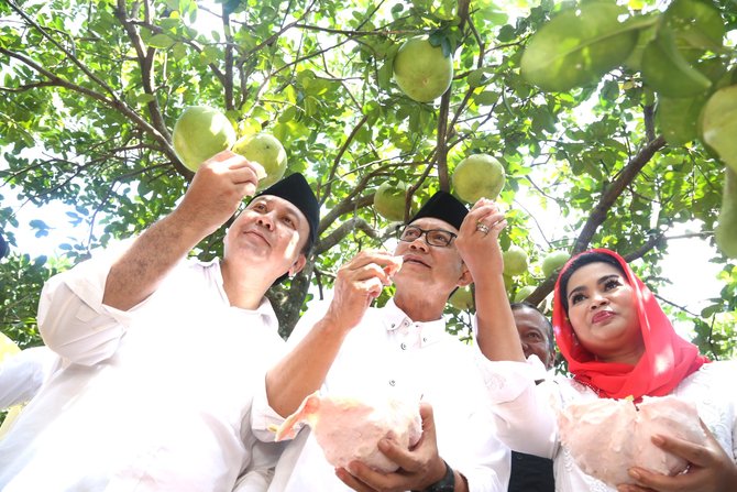 puti di kebun jeruk