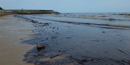 WALHI ungkap 162 nelayan rugi akibat terdampak tumpahan minyak Teluk Balikpapan