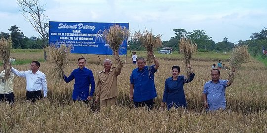 Panen raya di Sleman, SBY sebut petani pekerjaan mulia