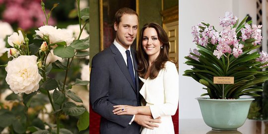 dan kate middleton rev1