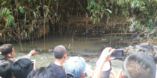 Muncul di sungai, buaya ompong gegerkan warga Sukoharjo