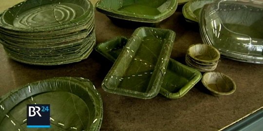 7 makhluk hidup yang bisa diubah jadi botol dan kantong kresek, ganja termasuk
