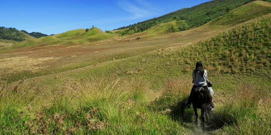 Deretan bukit instagramable favorit saat berkunjung ke Malang