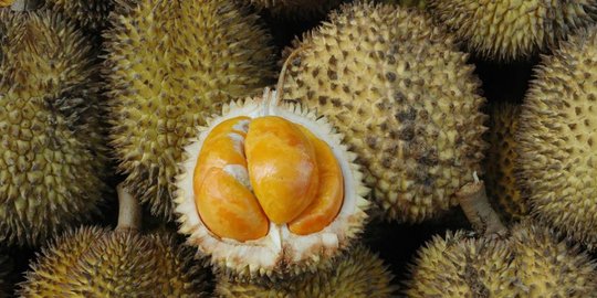 makanan yang digemari orang indonesia tapi bikin mual bule