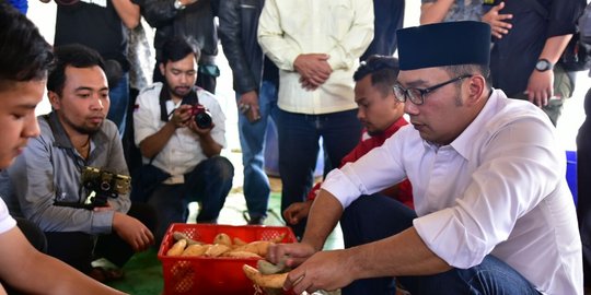 Ridwan Kamil ingin ubi Cilembu jadi produk unggulan demi petani Sumedang