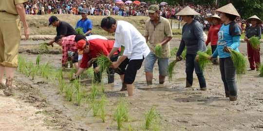 4 Kondisi ironi sektor pangan RI, target Swasembada Jokowi belum tercapai