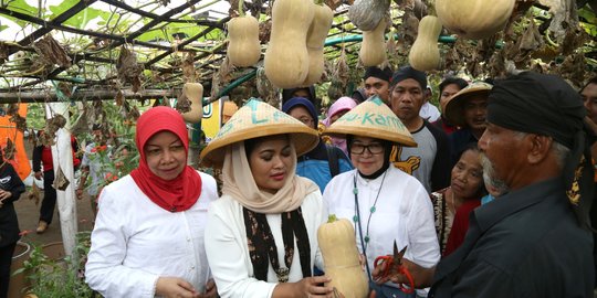 Bertemu petani Labu Manis, Puti: Ini potensi jadi Agrowisata Labu terbesar