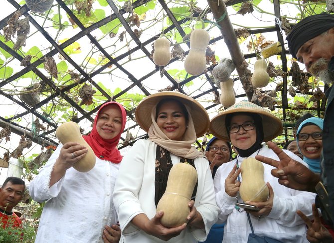 puti kunjungi petani labu manis di kediri