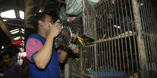 Bangun pasar ayam, Pemkot Solo minta dana Rp 24,5 M ke Pemerintah Pusat