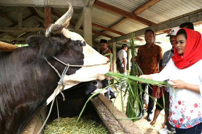 puti guntur di desa wisata tulungagung