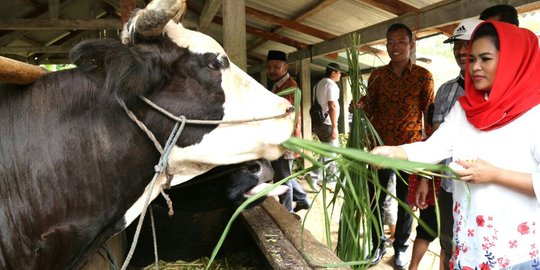 Ini solusi Puti Soekarno mengakselerasi potensi wisata Lingkar Wilis