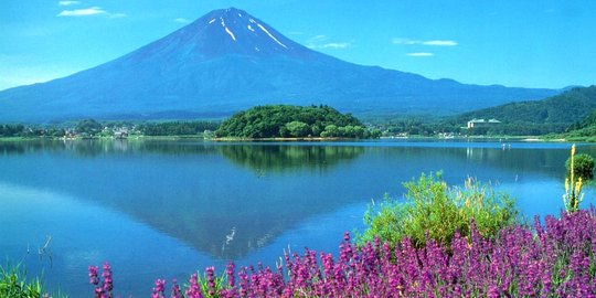 Pulang tamasya dari Gunung Fuji, tujuh WNI asal Jakarta dan Bandung kecelakaan
