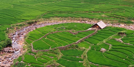 100 Hektare lahan sawah di Cikampek terancam hilang dialihfungsikan