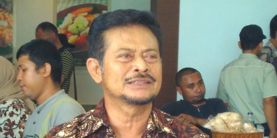 Didorong jadi Cawapres oleh relawan Jokowi, ini kata Syahrul Yasin Limpo
