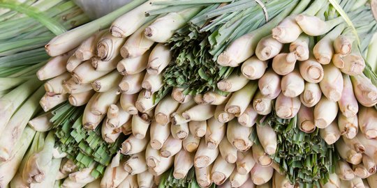 Nyamuk benci bau bumbu masak ini