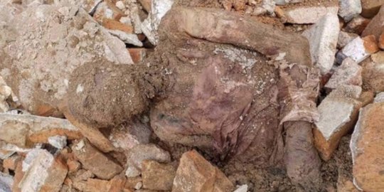 Pekerja konstruksi temukan jasad yang diduga tubuh Shah Iran dalam reruntuhan
