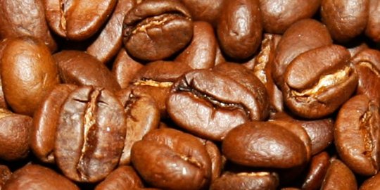 99 Persen petani di Jateng jual kopi ke tengkulak dengan harga murah