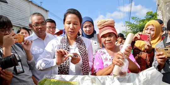 PDIP nilai percakapan Menteri Rini dan Dirut PLN pelanggaran perintah presiden