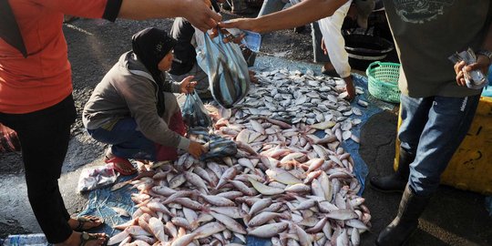 Ibu rumah tangga keluhkan harga ikan naik hingga dua kali lipat