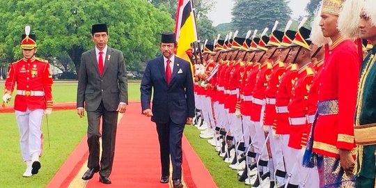 Presiden Jokowi terima Sultan Brunei di Istana Bogor