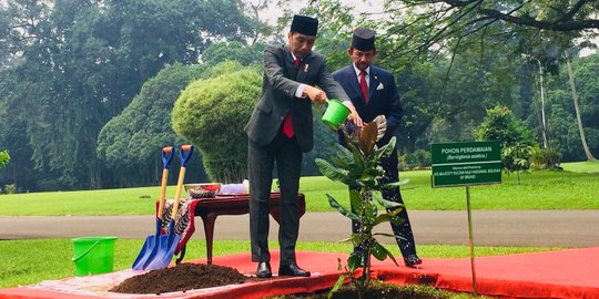 Jokowi ajak Sultan Brunei tanam pohon Perdamaian di Istana Bogor