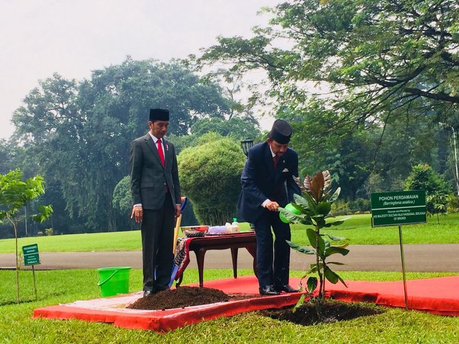 jokowi ajak sultan brunei tanam pohon