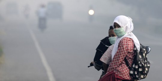 Dalang perusak hutan sulit diungkap akibat lemahnya koordinasi antar aparat