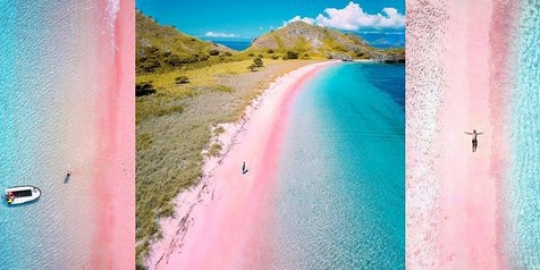 Tengok Keindahan Pantai Merah Muda di Timur Indonesia, Begitu Mempesona!