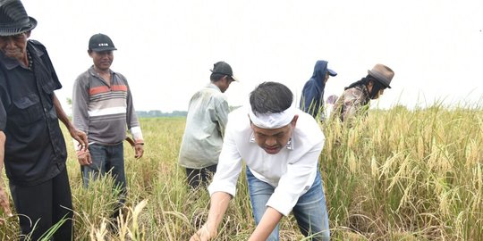 Jaga lingkungan di Jabar, Dedi Mulyadi bakal evaluasi tata Ruang