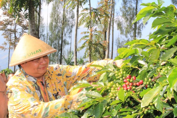 menperin airlangga hartarto menghadiri panen raya kopi dan temu wicara pelaku usaha kopi di temanggung jawa tengah