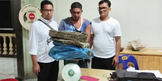 Polisi pura-pura jadi pembeli, pengedar 9 kg ganja diciduk