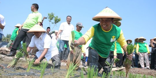 PPP siapkan 5 Hektare sawah  percontohan di Karawang Rommy 