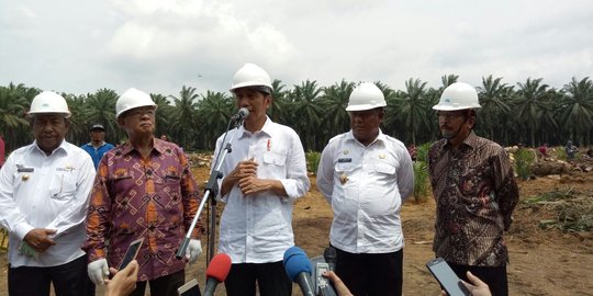 Jokowi resmikan replanting sawit di Riau, satu hektar dapat Rp 25 juta