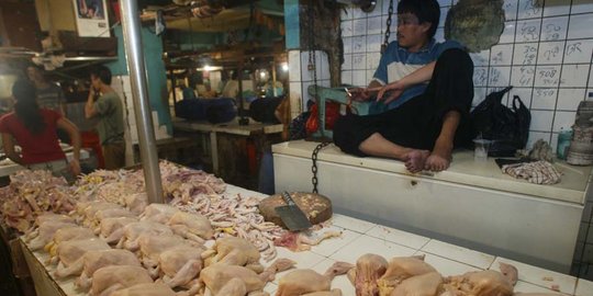 Jelang Ramadan, harga ayam potong dan telur merangkak naik