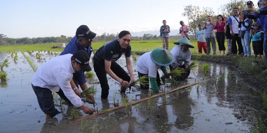 Ibas harap harga gabah semakin baik agar petani Ngawi makmur