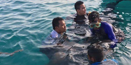 Diberi pemberat, paus pilot terdampar di pantai Harapan Berau ditenggelamkan ke laut