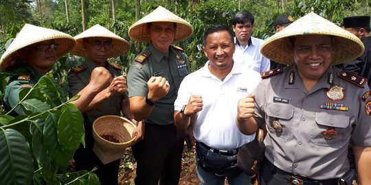 Indonesia Power UPJP panen Kopi Java Preanger di Garut