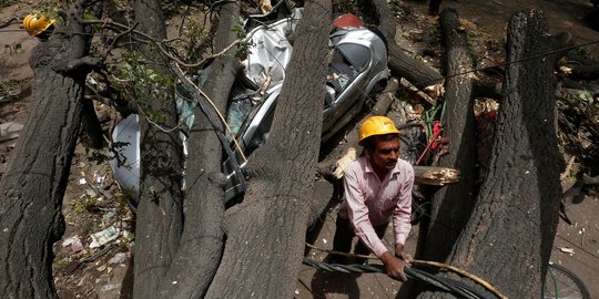 Terjangan badai debu tumbangkan pohon besar hingga tiang listrik di India