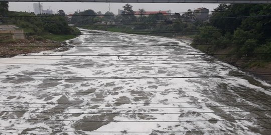 Kali Bekasi kembali tercemar, keluarkan busa hingga ikan pada mabuk