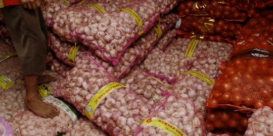 Petani ungkap praktik jual beli kuota tanam bawang putih oleh importir