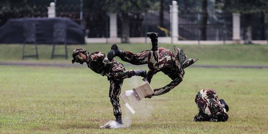 diri yang diakui dunia rev1