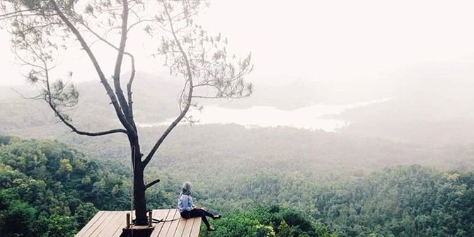 Hutan Pinus Pengger: Wisata Instagramable Terbaik di Jogja
