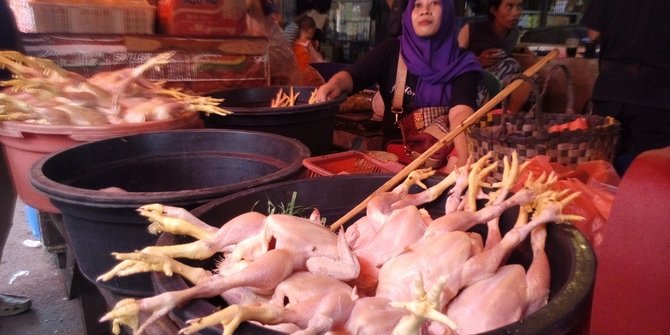 Terus meroket, harga ayam potong tembus Rp 50.000 per Kg