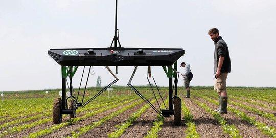 Canggihnya robot pembasmi gulma buatan Swiss