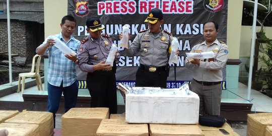 Selundupkan ratusan ribu benih lobster, dua pria ini dibekuk polisi