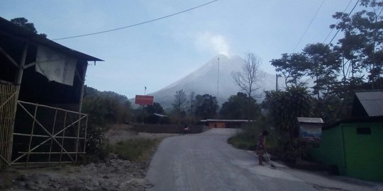 Erupsi Merapi, BPBD Jateng minta Pemkab siapkan tempat pengungsian hewan